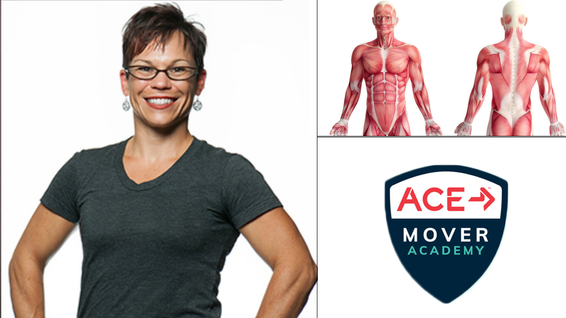 Functional Anatomy: The Secret to Efficient Movement