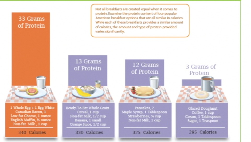 New Research on Protein, Metabolism, Recovery and Satiety